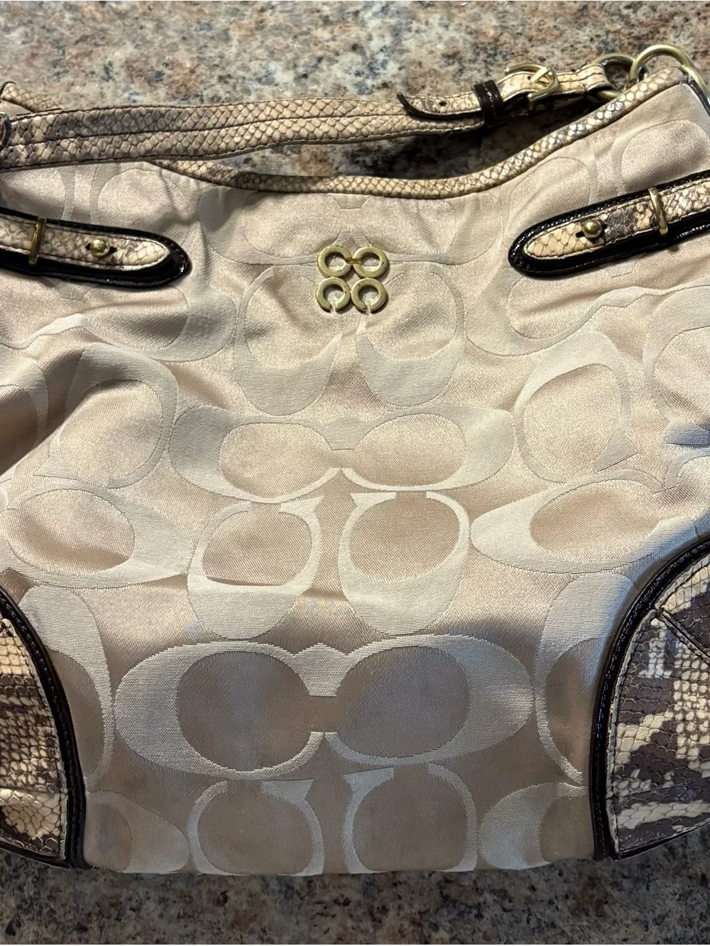 Coach Colette Signature Sateen and Python Hobo Bag